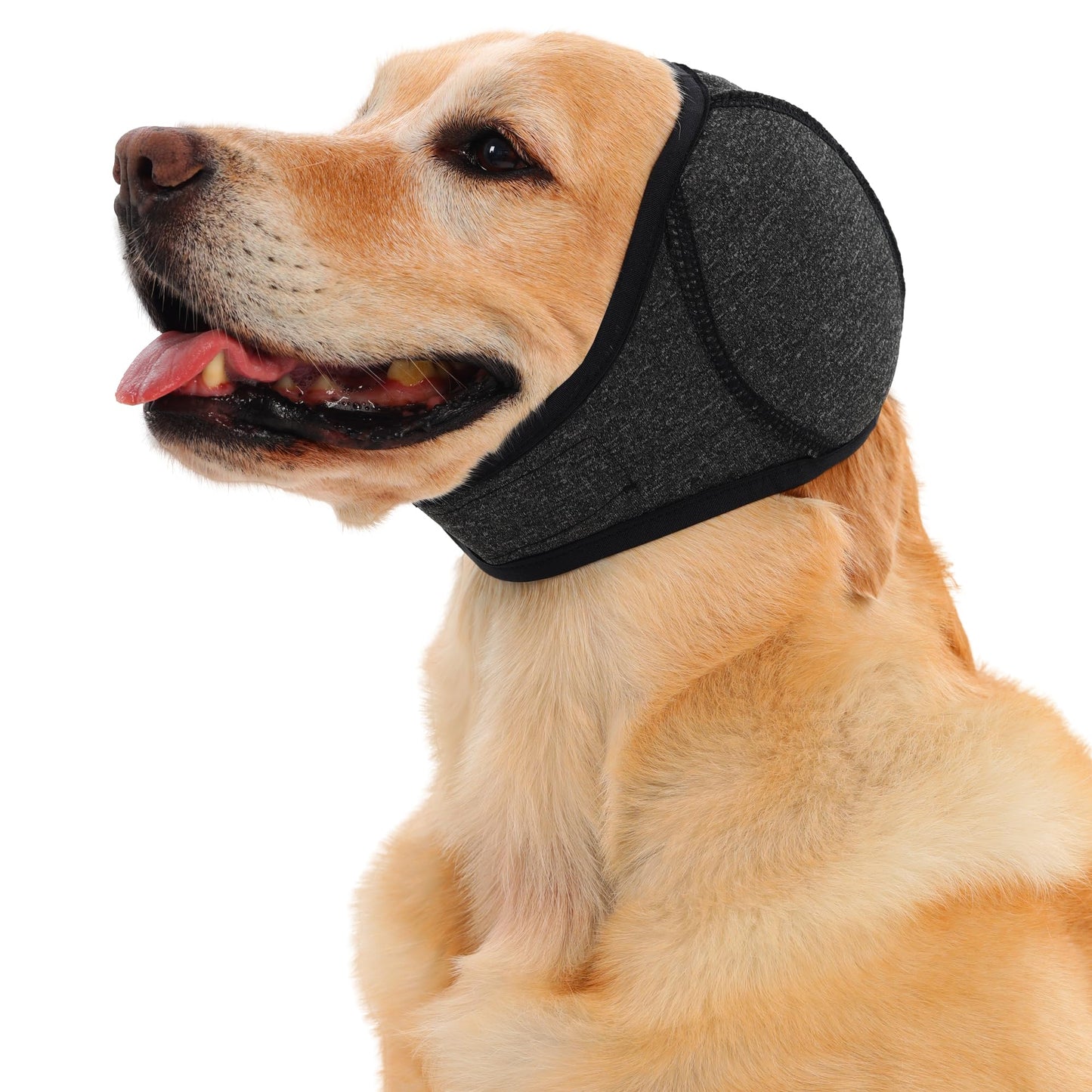 Breze Calming Hoodie for Dogs