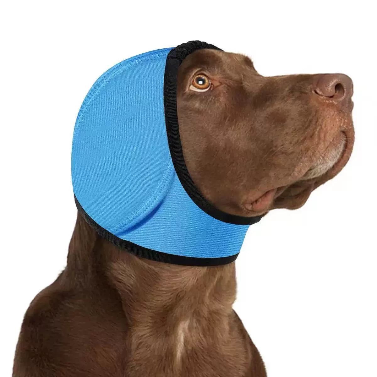 Breze Calming Hoodie for Dogs