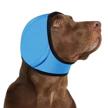 Breze Calming Hoodie for Dogs
