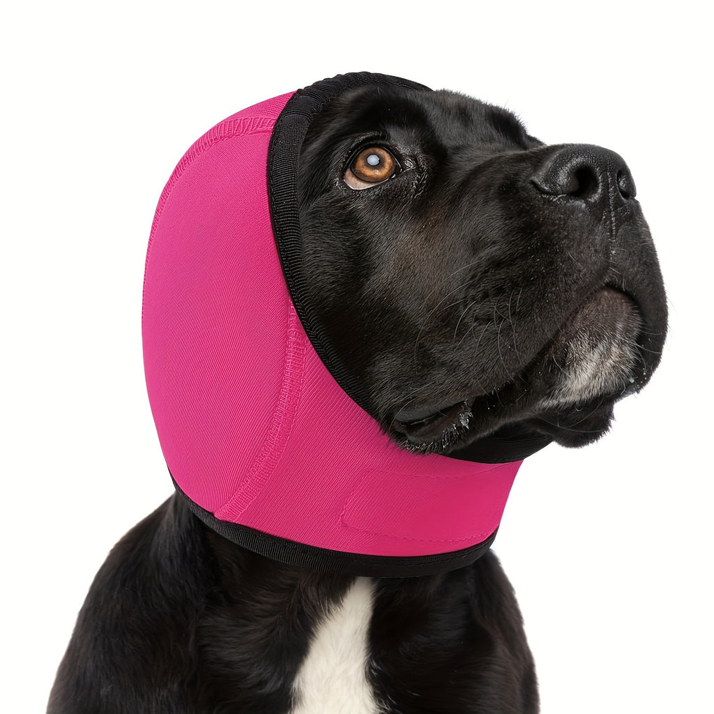 Breze Calming Hoodie for Dogs
