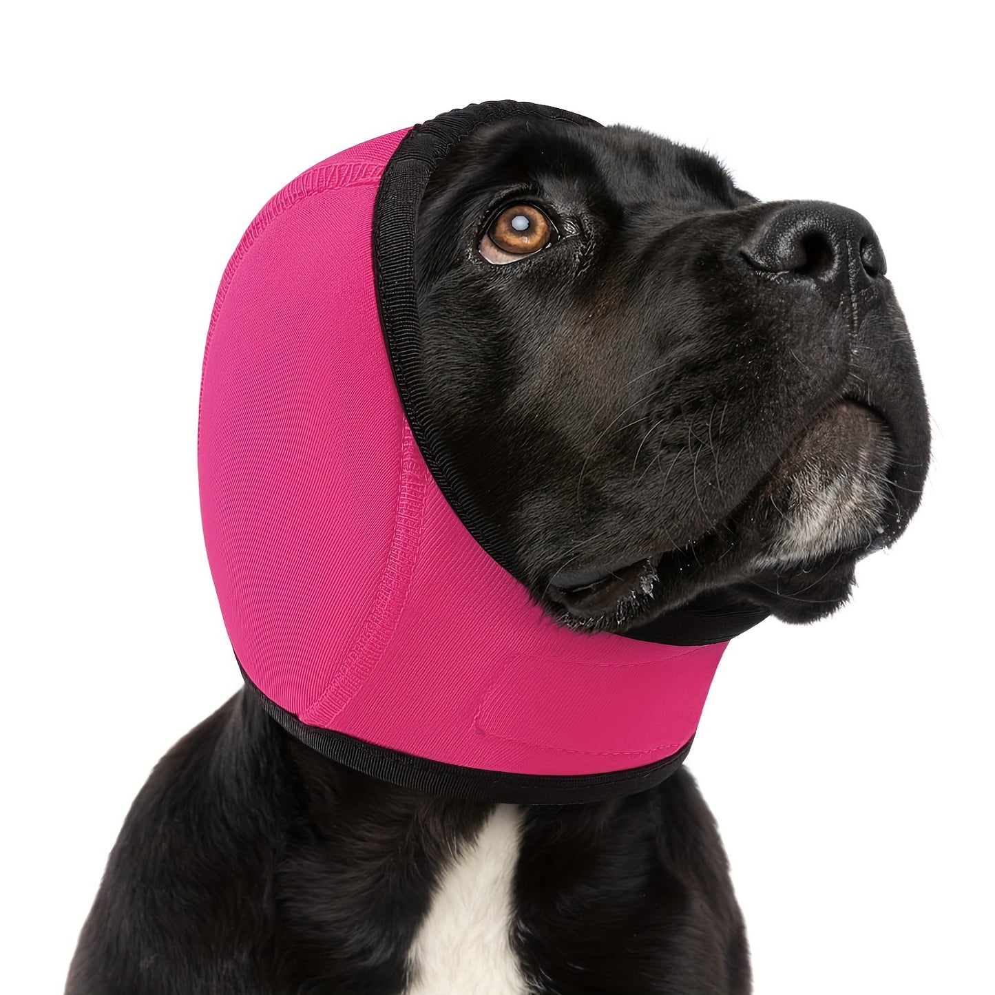 Breze Calming Hoodie for Dogs